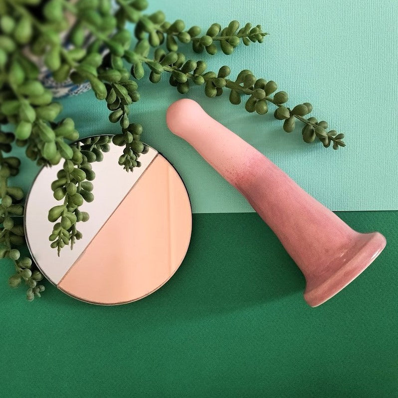 A pink and light purple gradient patterned 5 inch curved ceramic dildo lies on a dark green and teal split coloured background. Dark green tendrils from a pot plant flow around the dildo and onto a small round mirror which is half tinted with copper.